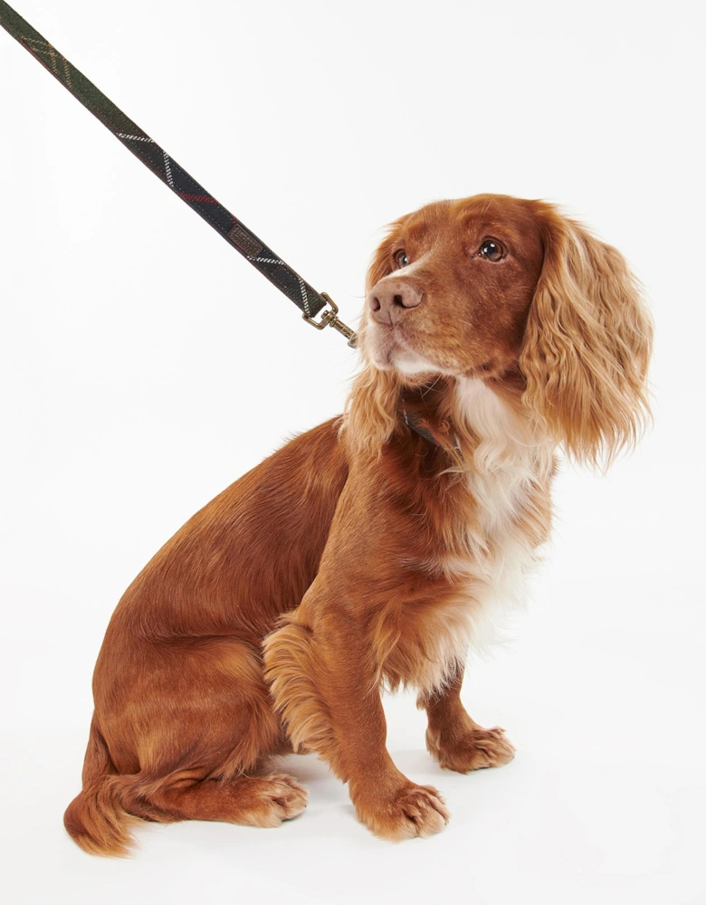 Tartan Dog Lead - Classic Tartan