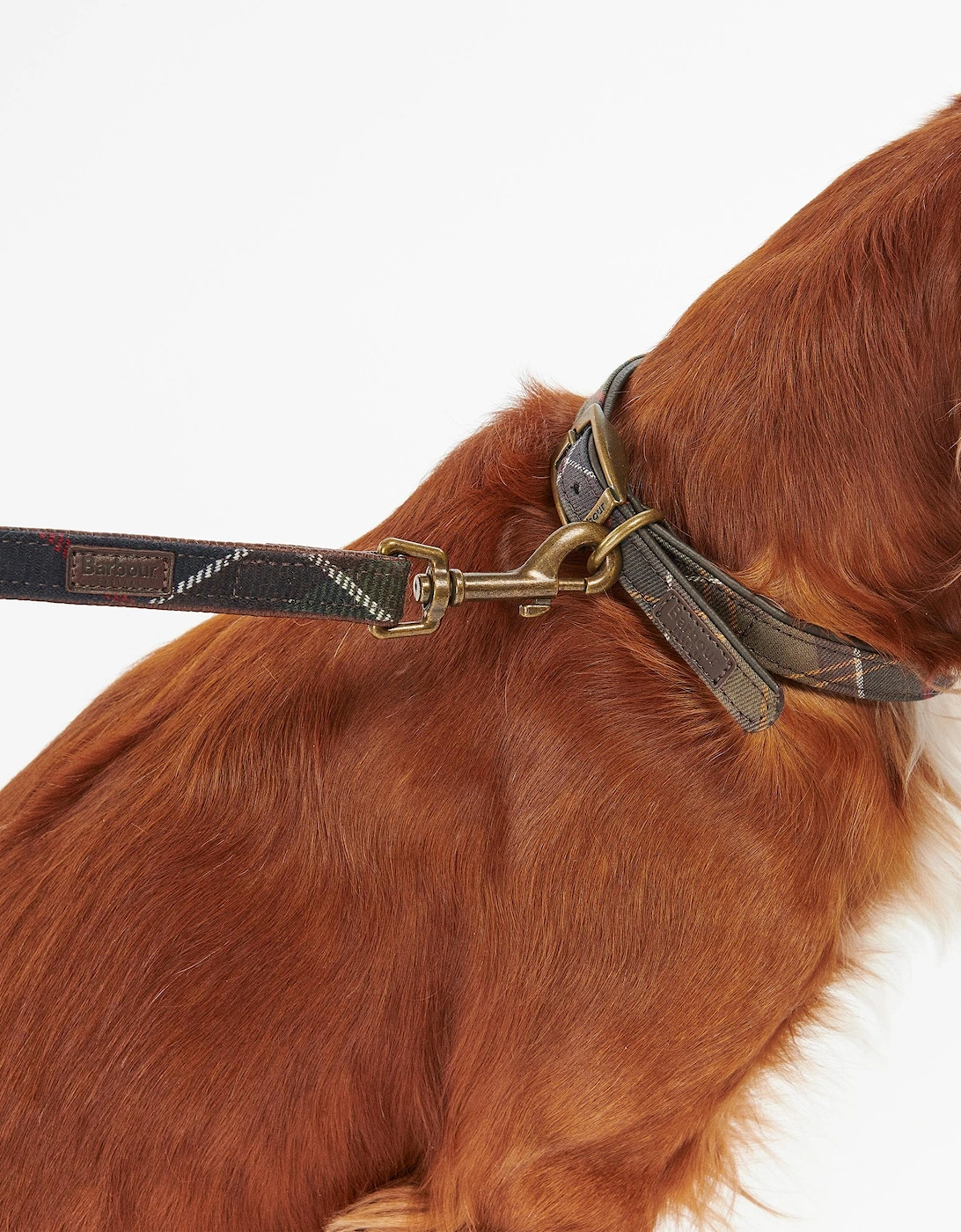 Tartan Dog Lead - Classic Tartan