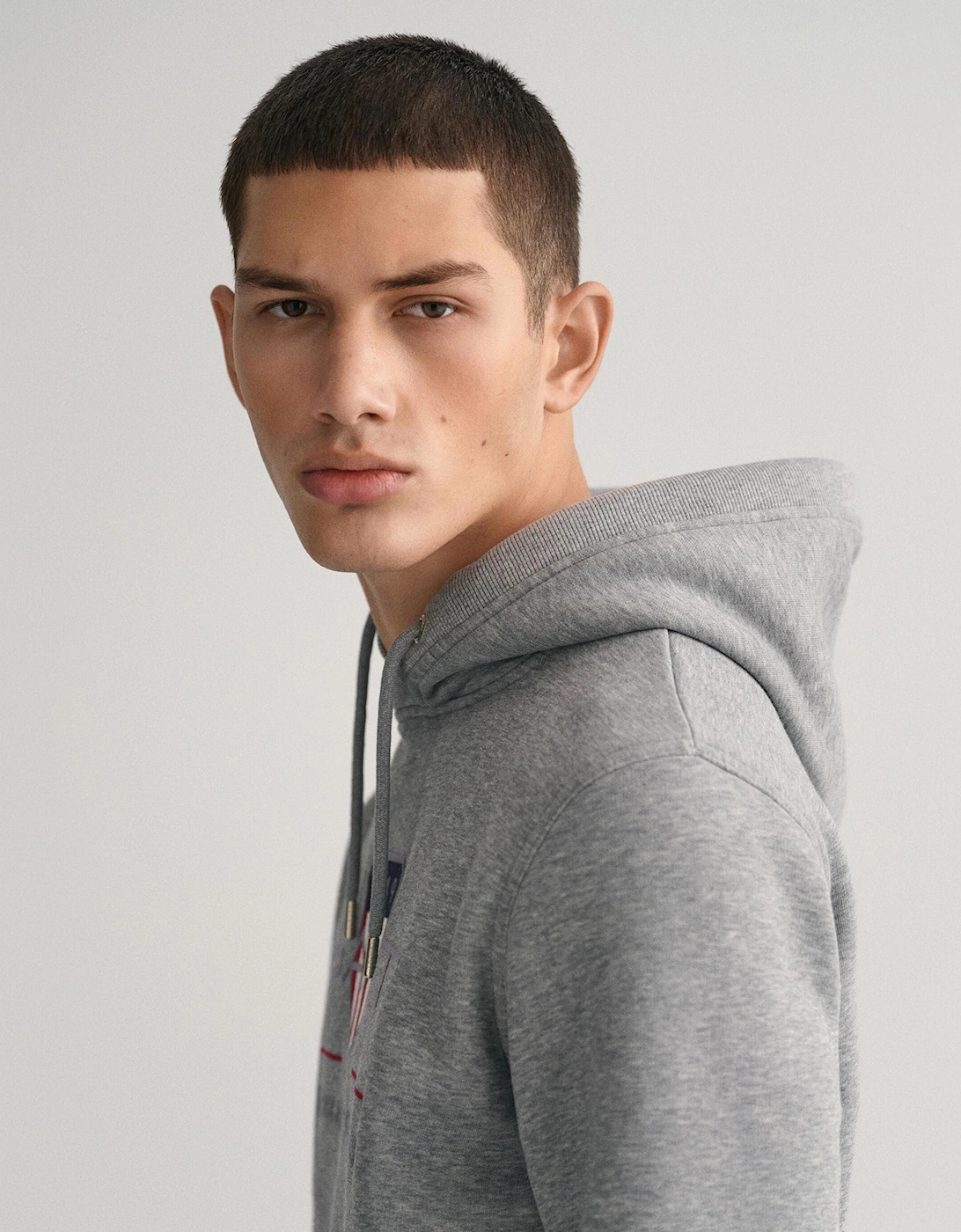 Mens Regular FIt Archive Shield Pullover Hoodie - 93 Grey Melange