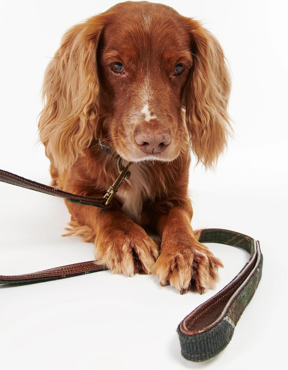Tartan Dog Lead - Classic Tartan