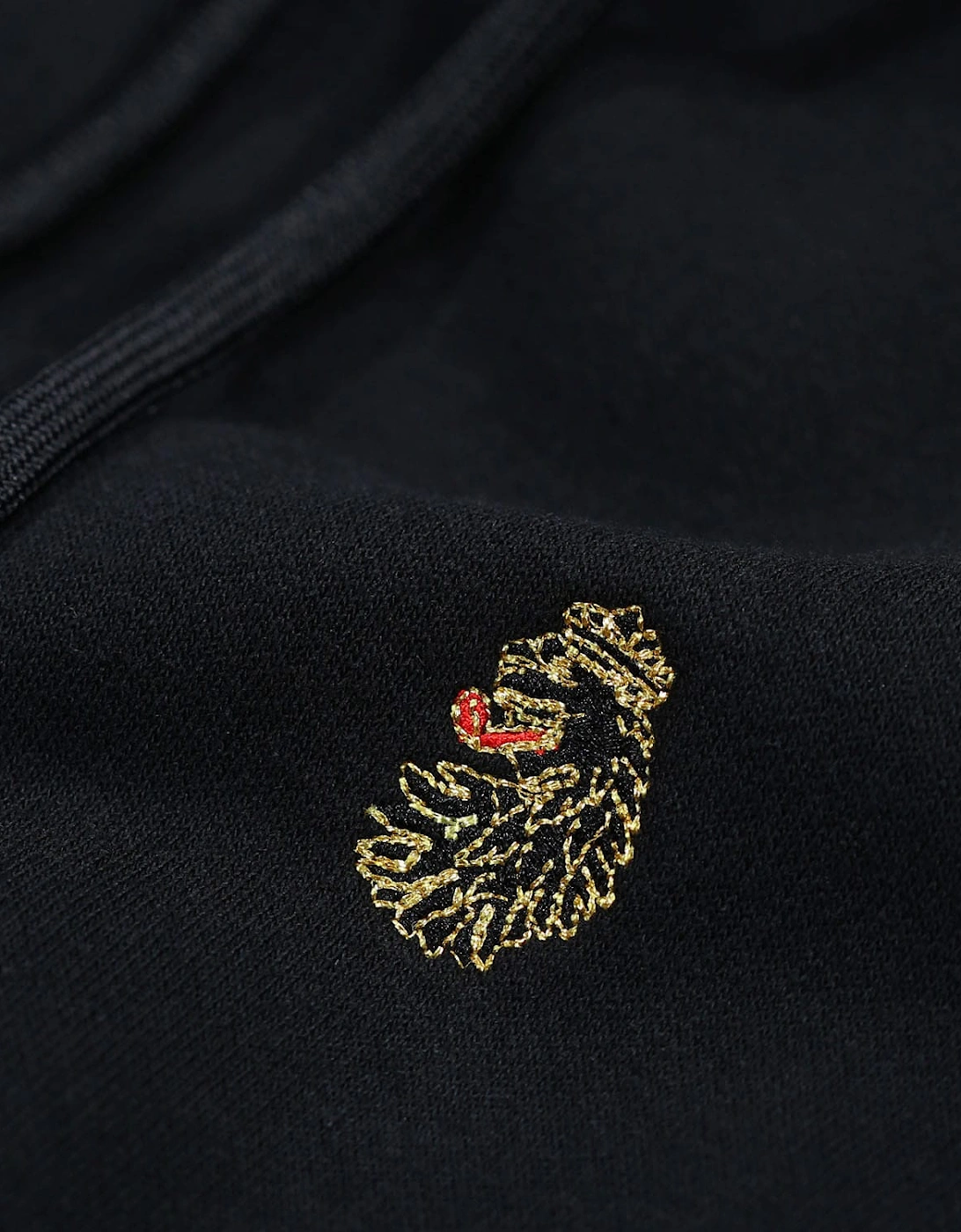 Texas Oversized Hoodie