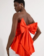 Tomato Red Tomato Red