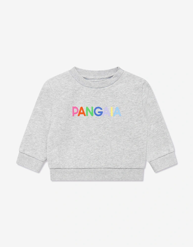 Baby 365 Graphic Sweatshirt in Grey