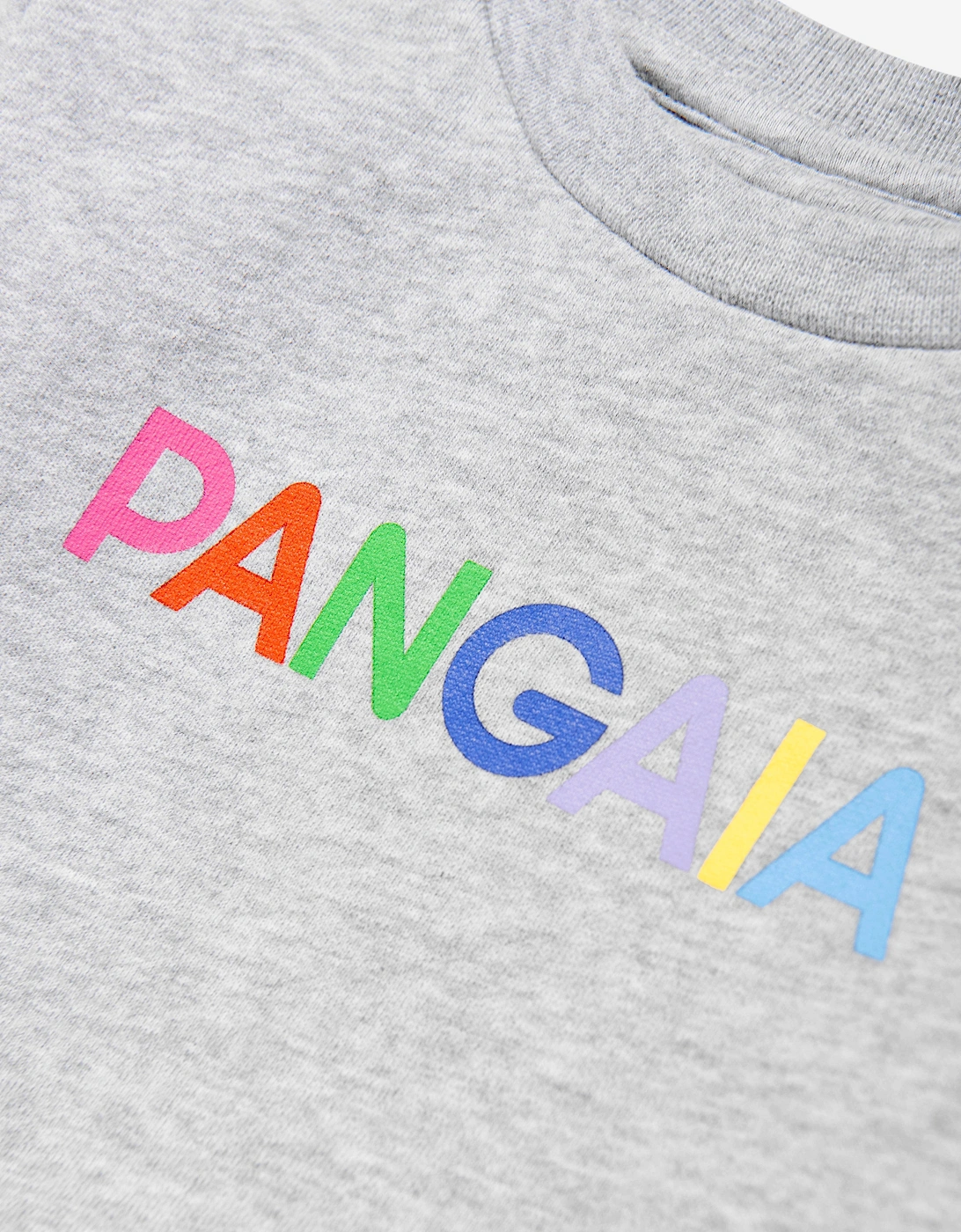 Baby 365 Graphic Sweatshirt in Grey