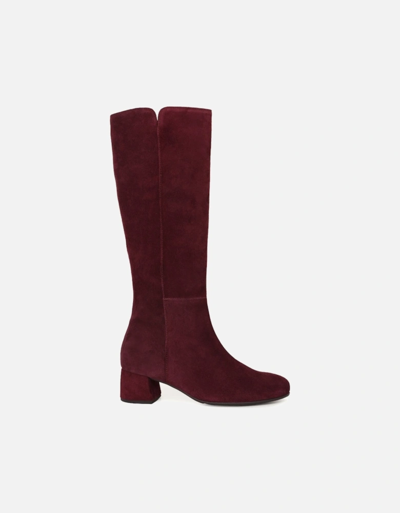 Ashby M Womens Knee High Boots