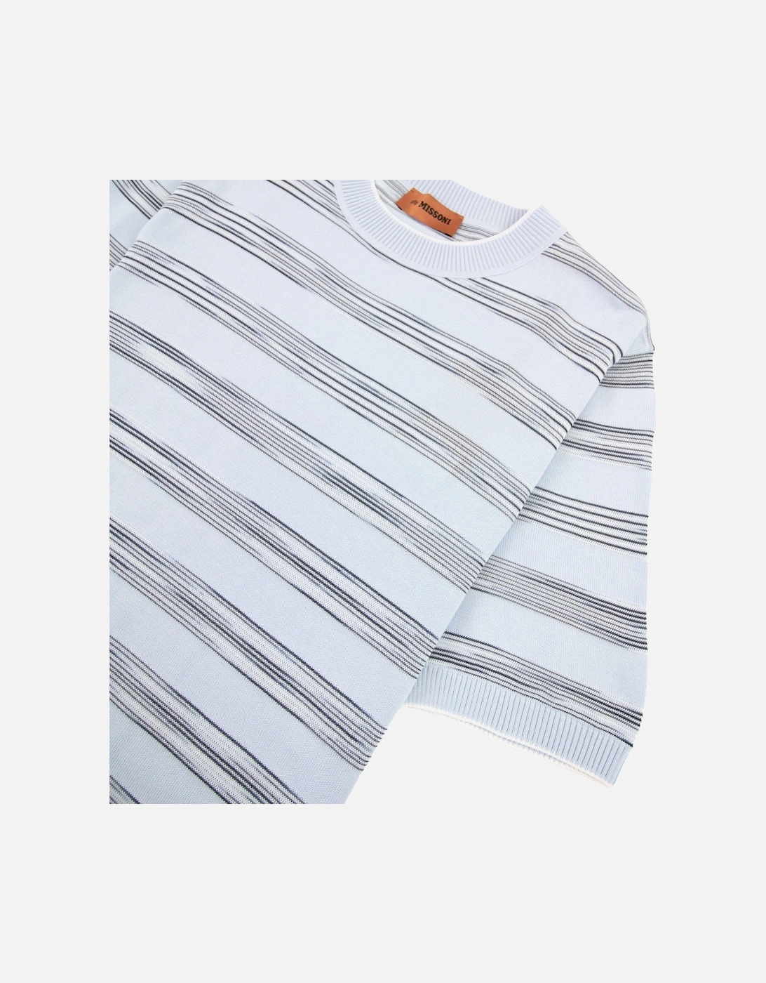 Stripe Cotton & Viscose Crewneck T Shirt Sky Blue S016f