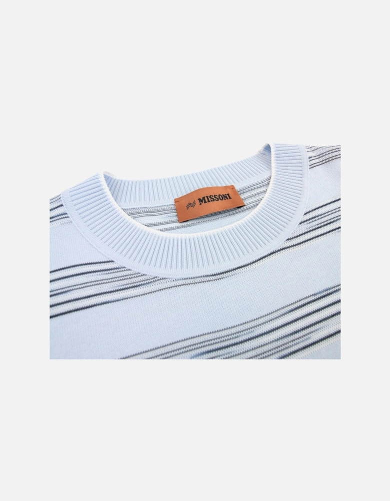 Stripe Cotton & Viscose Crewneck T Shirt Sky Blue S016f